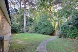 Communal Garden- click for photo gallery